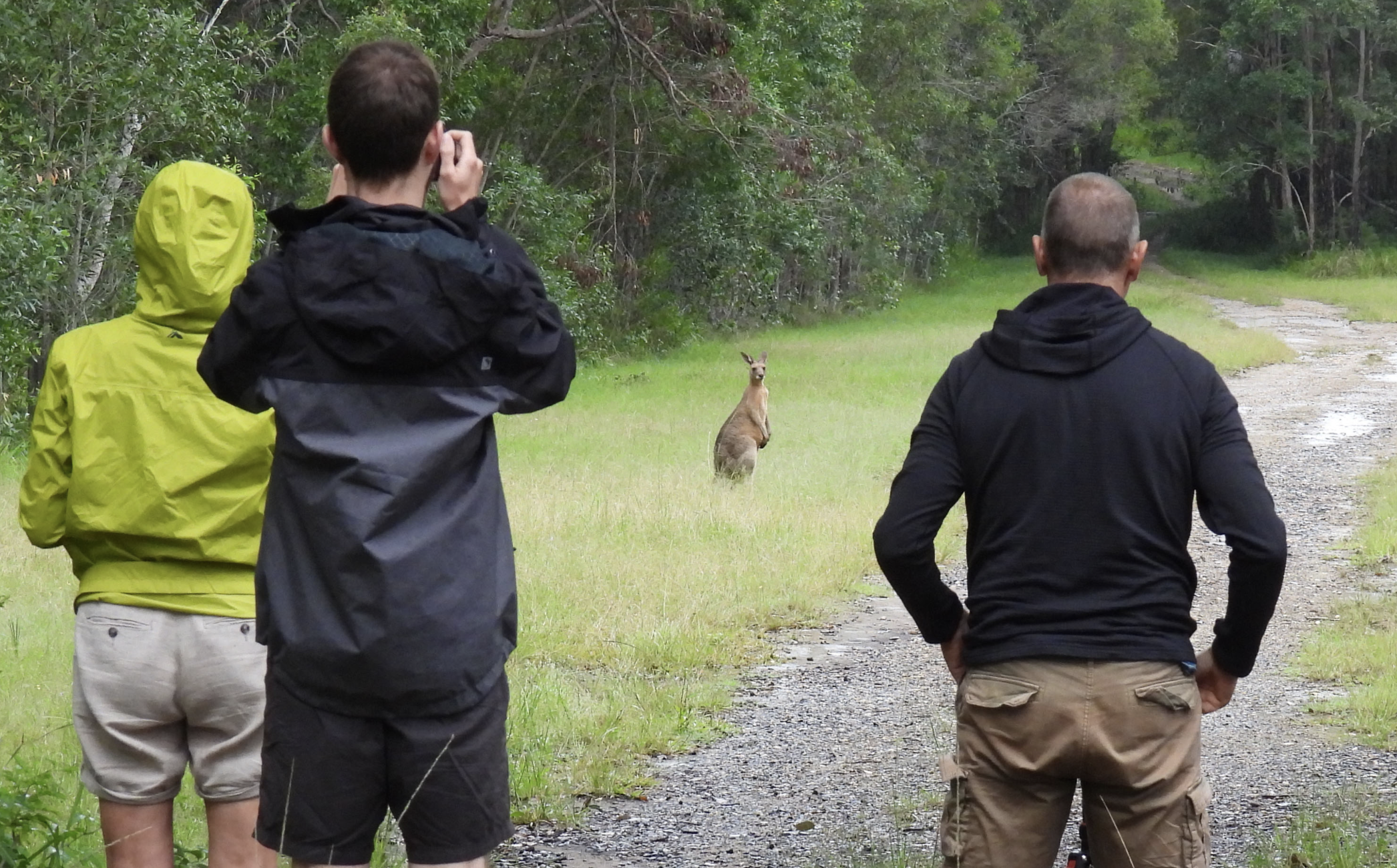4 day Aussie wildlife Adventure